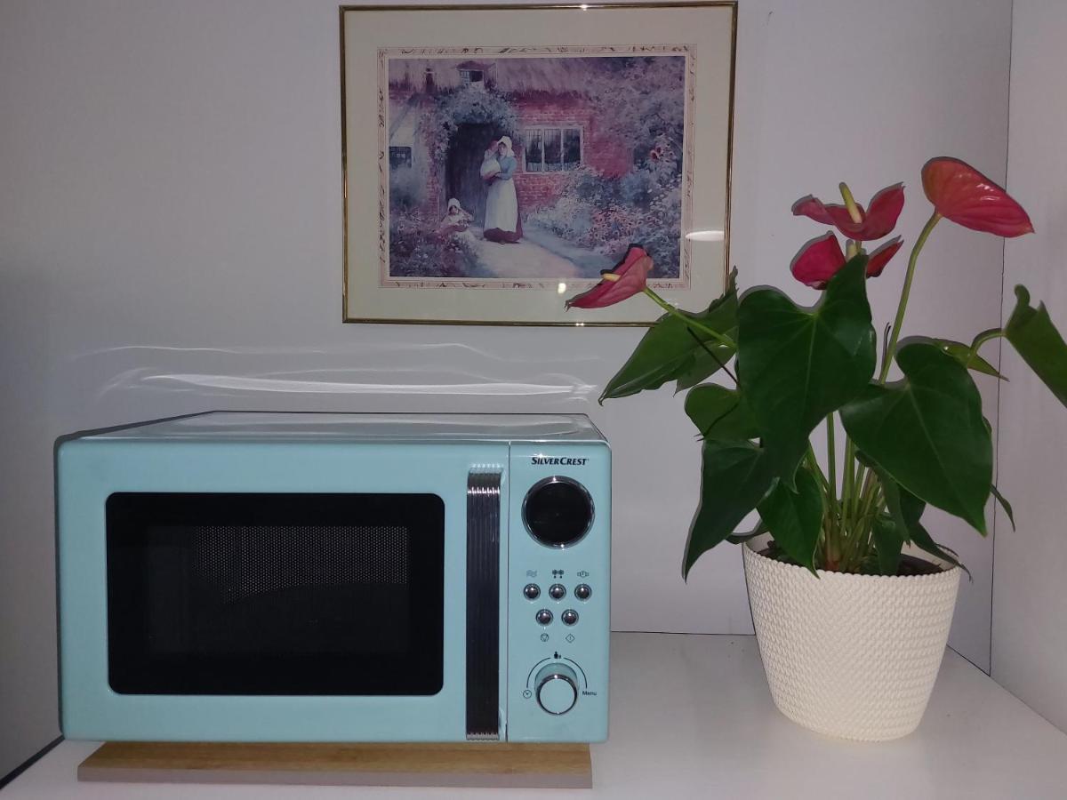 Apartment Bellavista Grožnjan Екстериор снимка